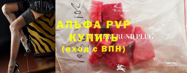 a pvp Белокуриха