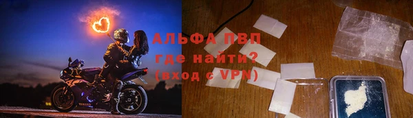 a pvp Белокуриха