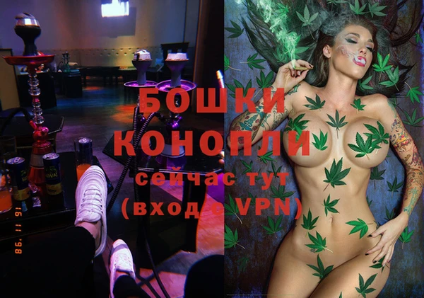 a pvp Белокуриха