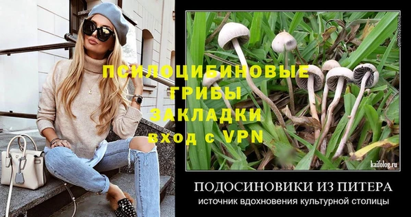 молекула духа Беломорск
