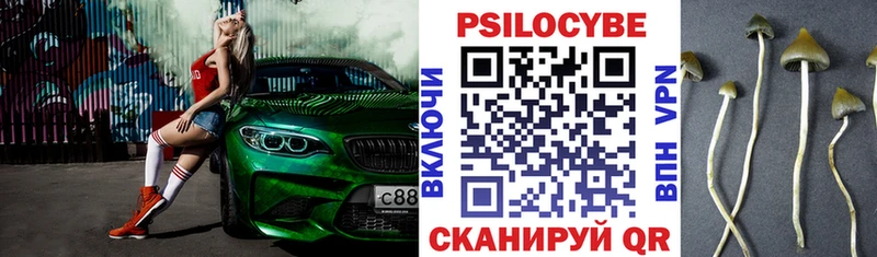 Псилоцибиновые грибы GOLDEN TEACHER  Купить где  Высоцк 